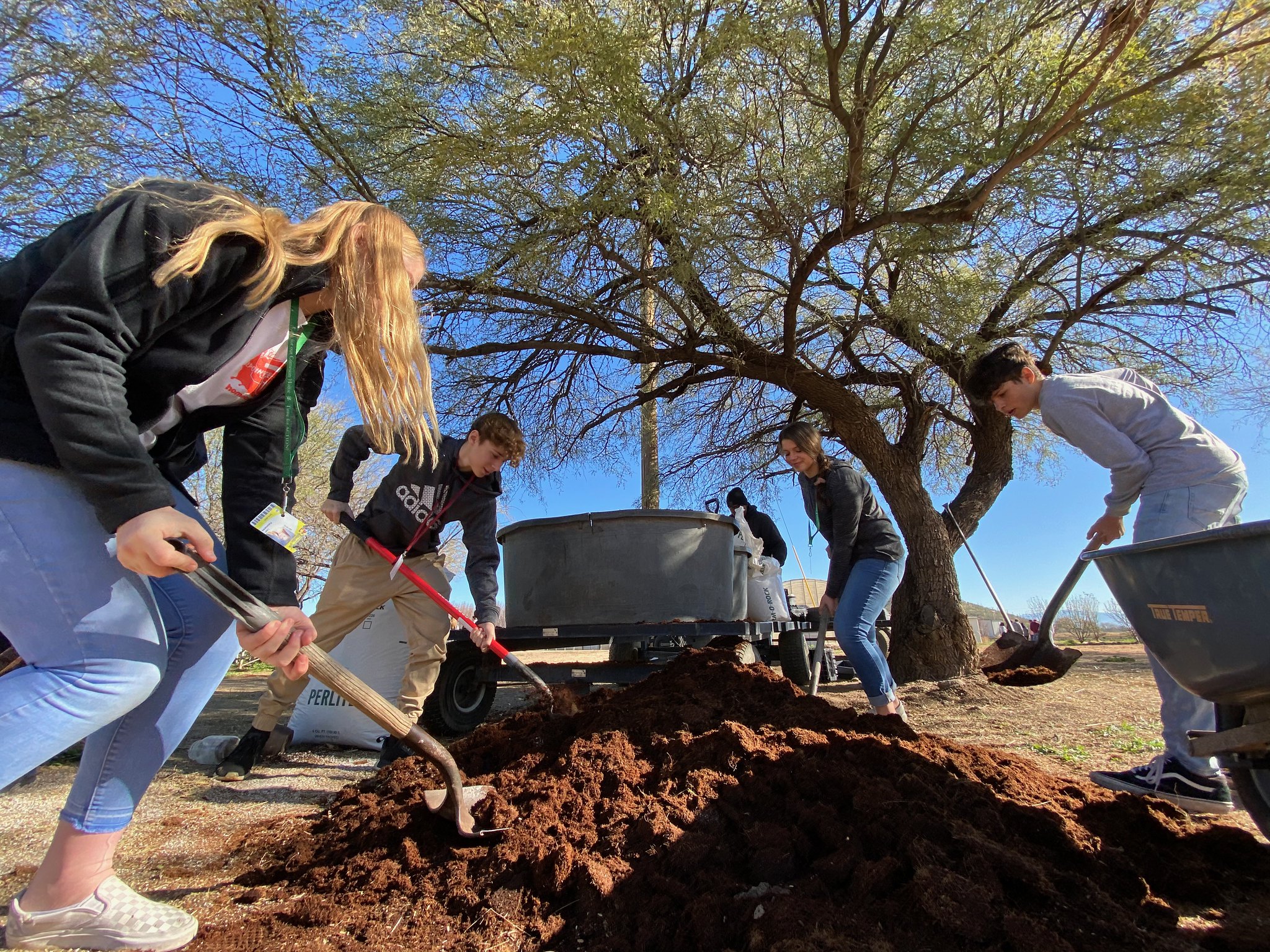 Student volunteering